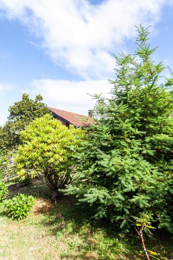 Chalet Pico Das Pedras Santana  Dış mekan fotoğraf