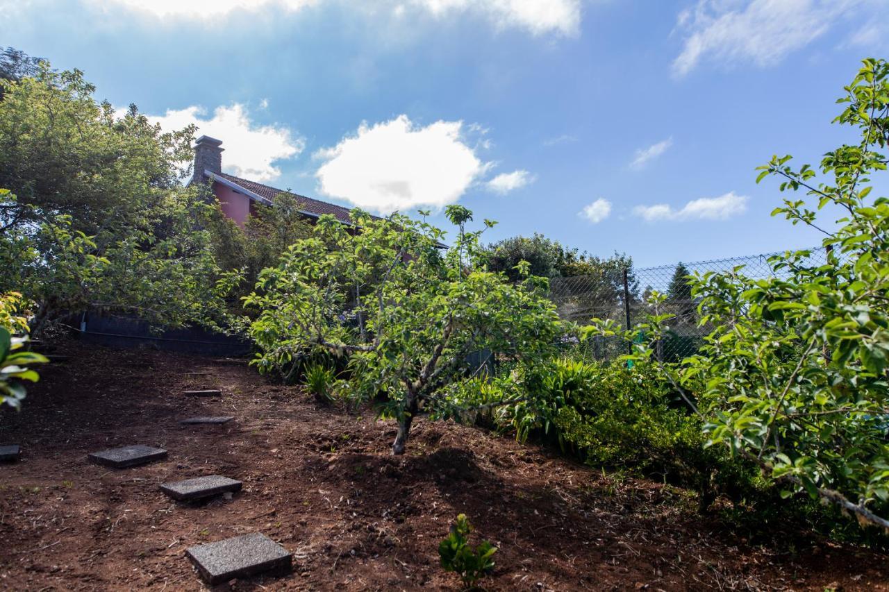 Chalet Pico Das Pedras Santana  Dış mekan fotoğraf
